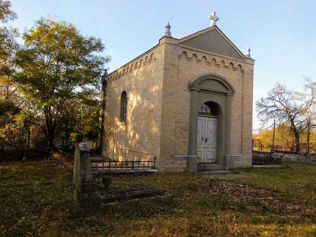 73046871 2418943211687137 6893158060353650688 O 1