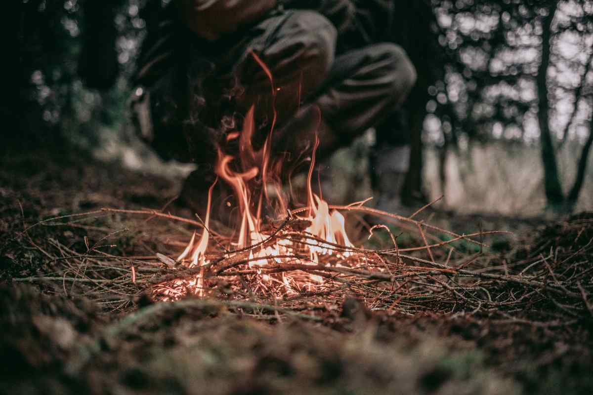 Sebastian Pociecha Z3uz8uw9pkk Unsplash
