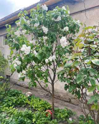 Received 1105000383735641