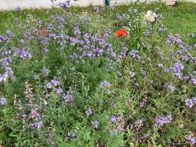 Received 1702485330123875