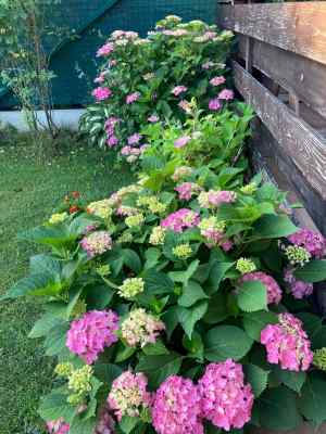 Received 1702485330123875