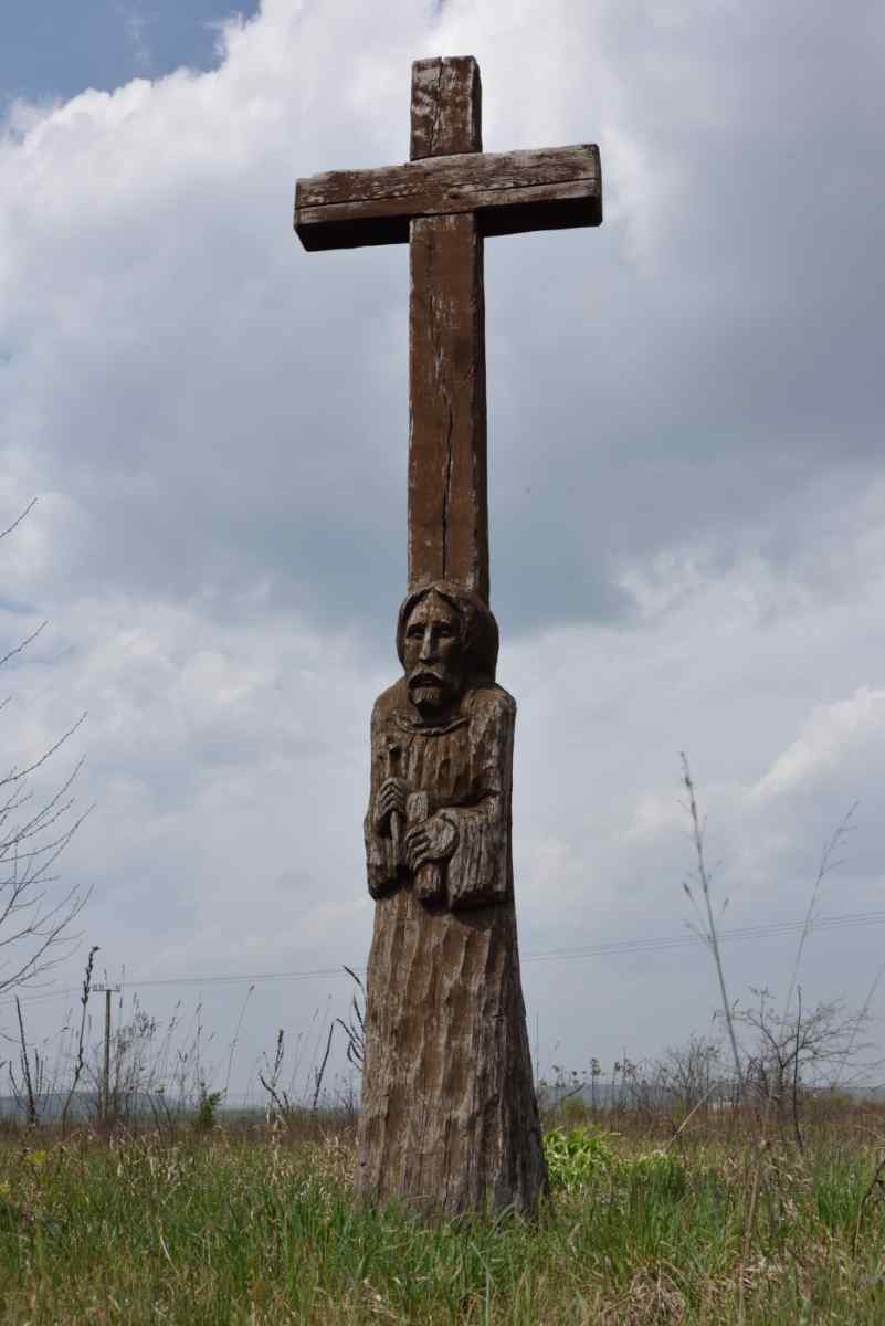 Dsc 2006
