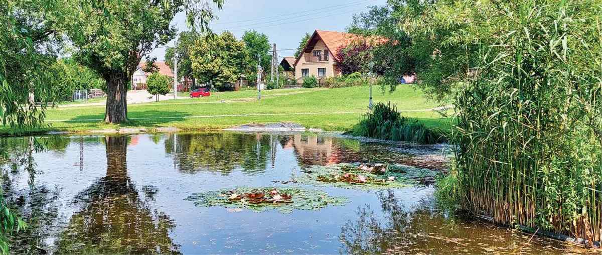 Koncz To