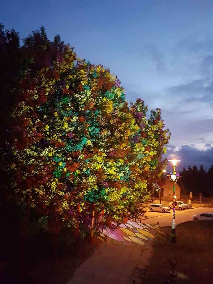 97170470 2612837525660139 4522695455695437824 O