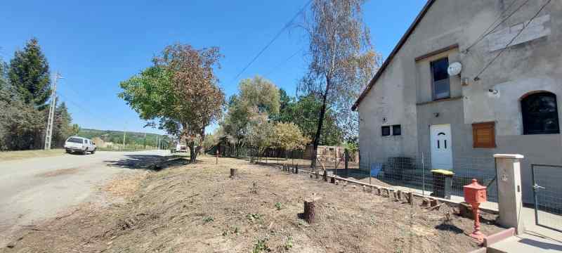 295270056 5300095400039148 5691405699688109112 N