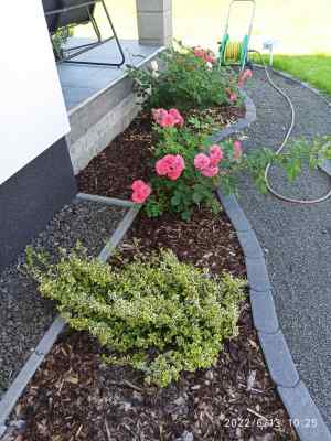 Received 1222965505210041