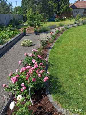 Received 1222965505210041