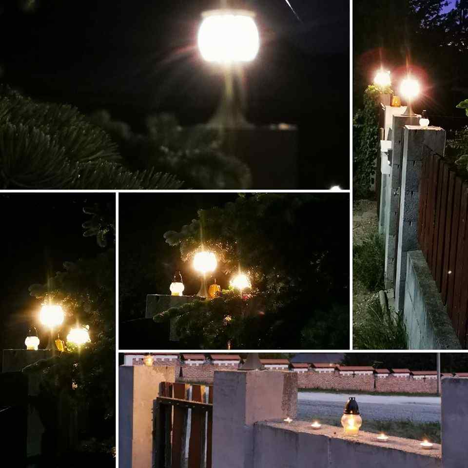 99010943 128946415448587 3913024332632162304 N