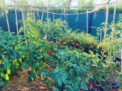 Received 1702485330123875