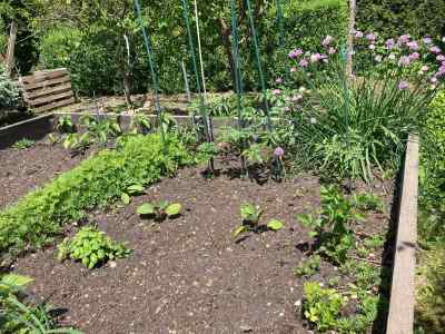 Received 1702485330123875