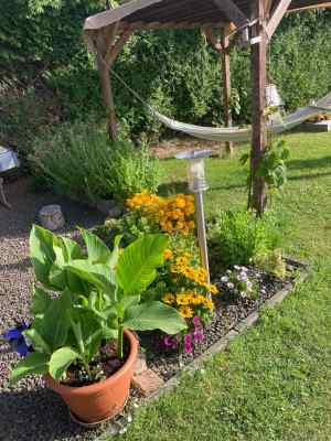 Received 1702485330123875