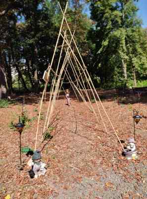 Received 2211005129080224