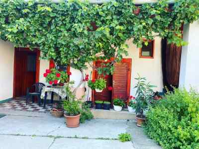 Received 1105000383735641