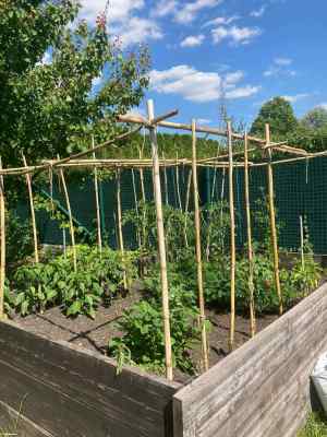 Received 1702485330123875