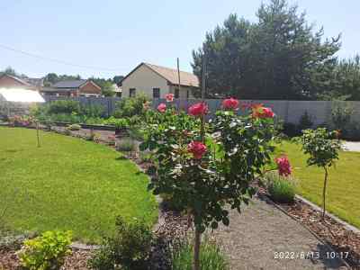 Received 1222965505210041